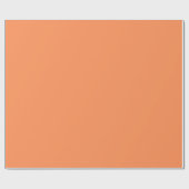 Papier Cadeau Pale Orange To Match Our Orange Sets (Plat)