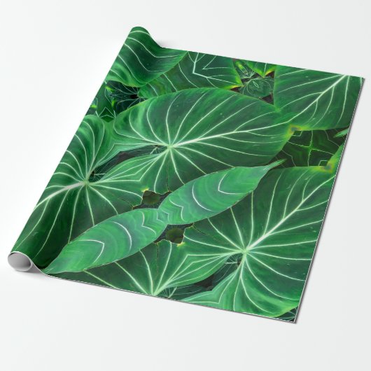 Papier Cadeau Palm Leaf, feuillage tropical, forêt tropicale (Déroulé)