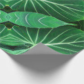 Papier Cadeau Palm Leaf, feuillage tropical, forêt tropicale (Coin)