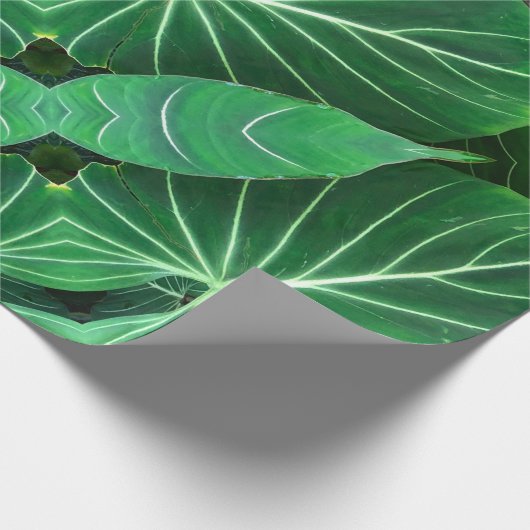 Papier Cadeau Palm Leaf, feuillage tropical, forêt tropicale (Coin)