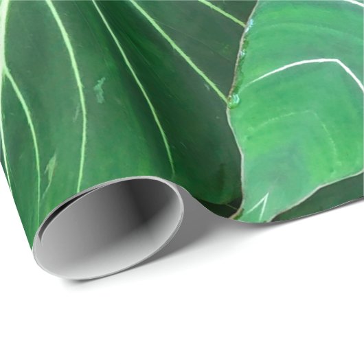 Papier Cadeau Palm Leaf, feuillage tropical, forêt tropicale (Coin rond)