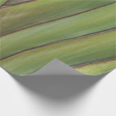Papier cadeau Palm Tree (Coin)