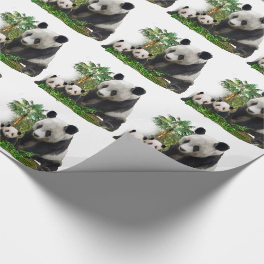 Papier Cadeau Panda Bears (Coin)
