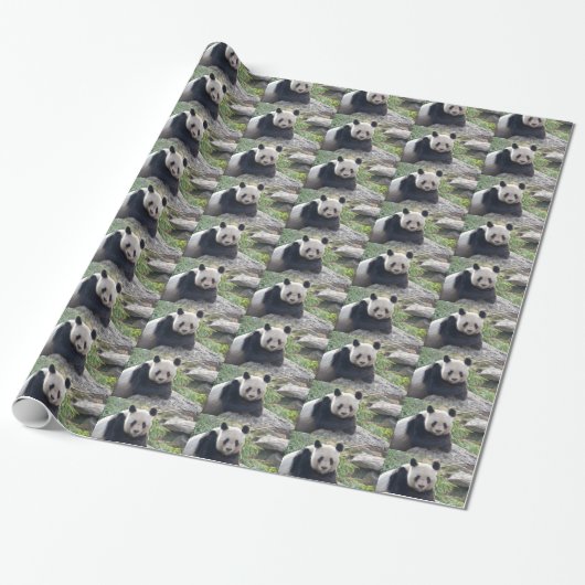 Papier Cadeau Panda Géant Amical (Déroulé)