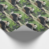 Papier Cadeau Panda géant mangeant du bambou. (Coin)