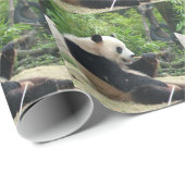 Papier Cadeau Panda géant mangeant du bambou. (Coin rond)