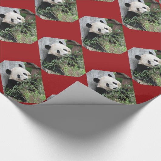 Papier Cadeau Panda géant mignon/Pandas frontière rouge Noël (Coin)