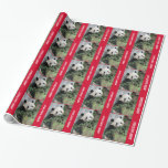 Papier Cadeau Panda Gourmande Joyeux papier d'enveloppement de N<br><div class="desc">Ce papier d'emballage coloré, à l'aide de ma photo originale d'un mignon ours en panda géant, est une façon unique d'envelopper les cadeaux de Noël. Photo prise en Chine. Idéal pour les amateurs de pandas ! Les frontières rouge vif sont très festives. Le texte dit "Joyeux Noël !" mais vous...</div>