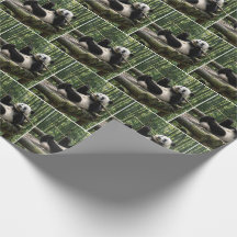Panda sur une plateforme de rondins