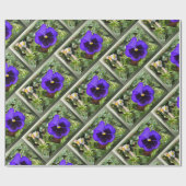 Papier Cadeau Pansement pourpre (Plat)