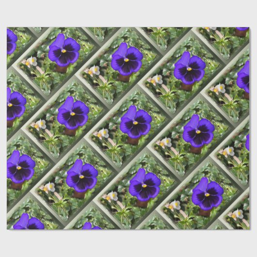 Papier Cadeau Pansement pourpre (Plat)