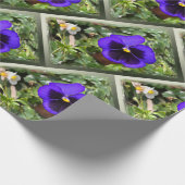 Papier Cadeau Pansement pourpre (Coin)