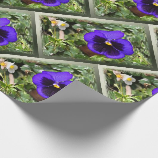 Papier Cadeau Pansement pourpre (Coin)