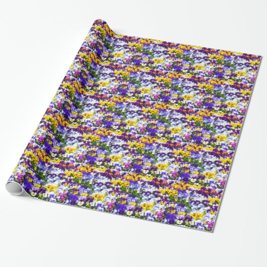 Papier Cadeau Pansies (Déroulé)