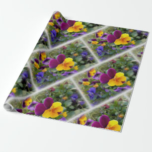 Papier Cadeau Pansies lumineuses