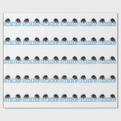 Papier Cadeau Panthers (Plat)