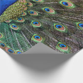 Papier Cadeau Paon (Coin)