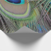 Papier Cadeau Paon (Coin)
