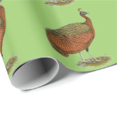 Papier Cadeau Paon : Congo Peahen (Coin rond)