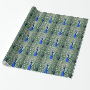 Papier Cadeau Paon fier