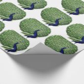 Papier Cadeau Paon Vintage (Coin)