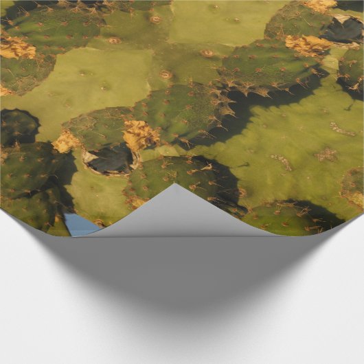 Papier Cadeau Papier à enveloppement brillant à cactus vert et j (Coin)