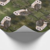 Papier Cadeau Papier à enveloppement de la chouette (Coin)