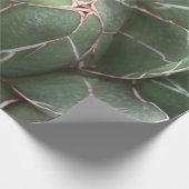 Papier Cadeau Papier à enveloppement Plante à succulents vert (Coin)