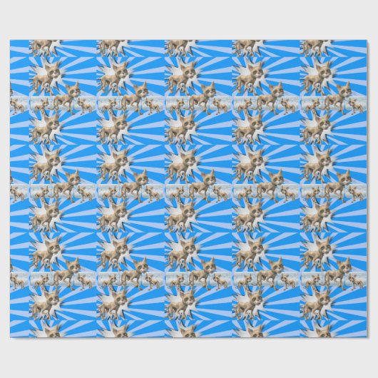 Papier Cadeau Papier à envelopper brillant, Chat bleu (Plat)