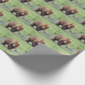 Papier Cadeau Papier à envelopper d'OURS GRIZZLY (Coin)