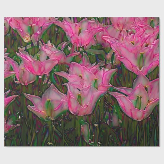 Papier Cadeau Papier à envelopper Ouvert Tulipes roses chaudes (Plat)