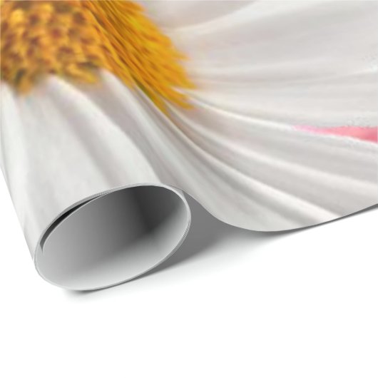 Papier Cadeau Papier brillant à envelopper, Tourbe blanche Tourb (Coin rond)