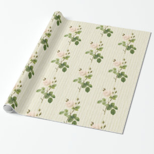 Papier Cadeau Papier brillant, Rose beige Floral