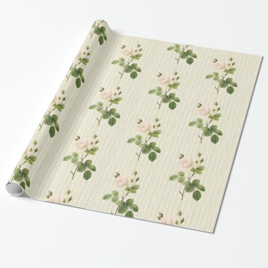 Papier Cadeau Papier brillant, Rose beige Floral (Déroulé)