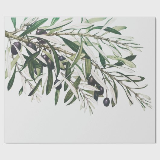 PAPIER CADEAU PAPIER CADEAU: MERRY CHRISTMAS OLIVE BRANCHE (Plat)
