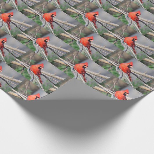 Papier Cadeau Papier cardinal d'enveloppement de ressort (Coin)