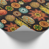 Papier Cadeau Papier Carré d'écorce de mer (Coin)