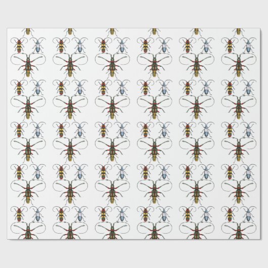 Papier Cadeau Papier de coléoptères (Plat)