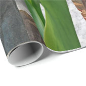 Papier Cadeau Papier de papier de papier d'enveloppement Jésus-C (Coin rond)