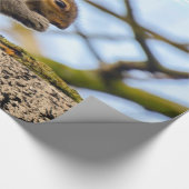 Papier Cadeau Papier d'écureuil (Coin)