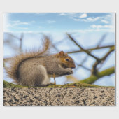 Papier Cadeau Papier d'écureuil (Plat)