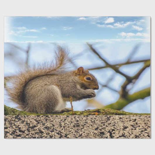 Papier Cadeau Papier d'écureuil (Plat)