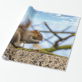 Papier Cadeau Papier d'écureuil (Déroulé)