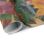 Papier Cadeau Papier d'écureuil (Coin rond)