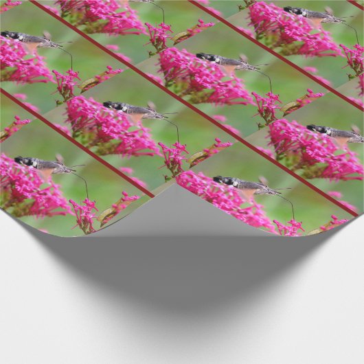 Papier Cadeau Papier d'emballage (Coin)