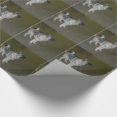 Papier Cadeau Papier d'emballage d'Akita (Coin)