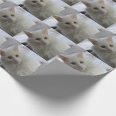 Papier Cadeau papier d'emballage de chat angora turc blanc (Coin)