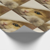 Papier Cadeau Papier d'emballage de chat mignon de chat (Coin)