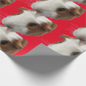 Papier Cadeau papier d'emballage de cobaye rouge (Coin)