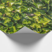 Papier Cadeau Papier d'emballage de lierre vert (Coin)